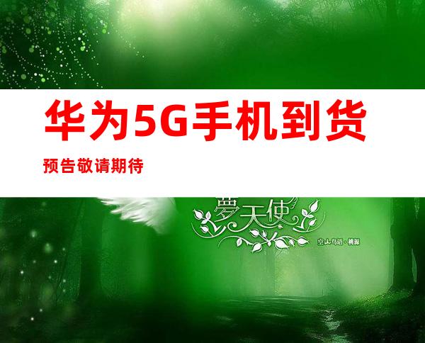 传承红色血脉，筑牢Weilink长城